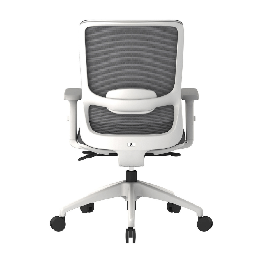 Untitled design - 2026-01-30T121231.103